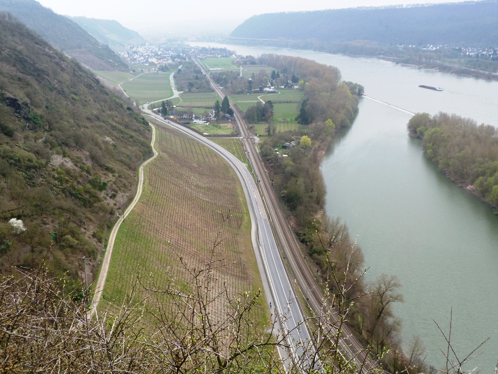 Rheinblick von der Burgruine Hammerstein