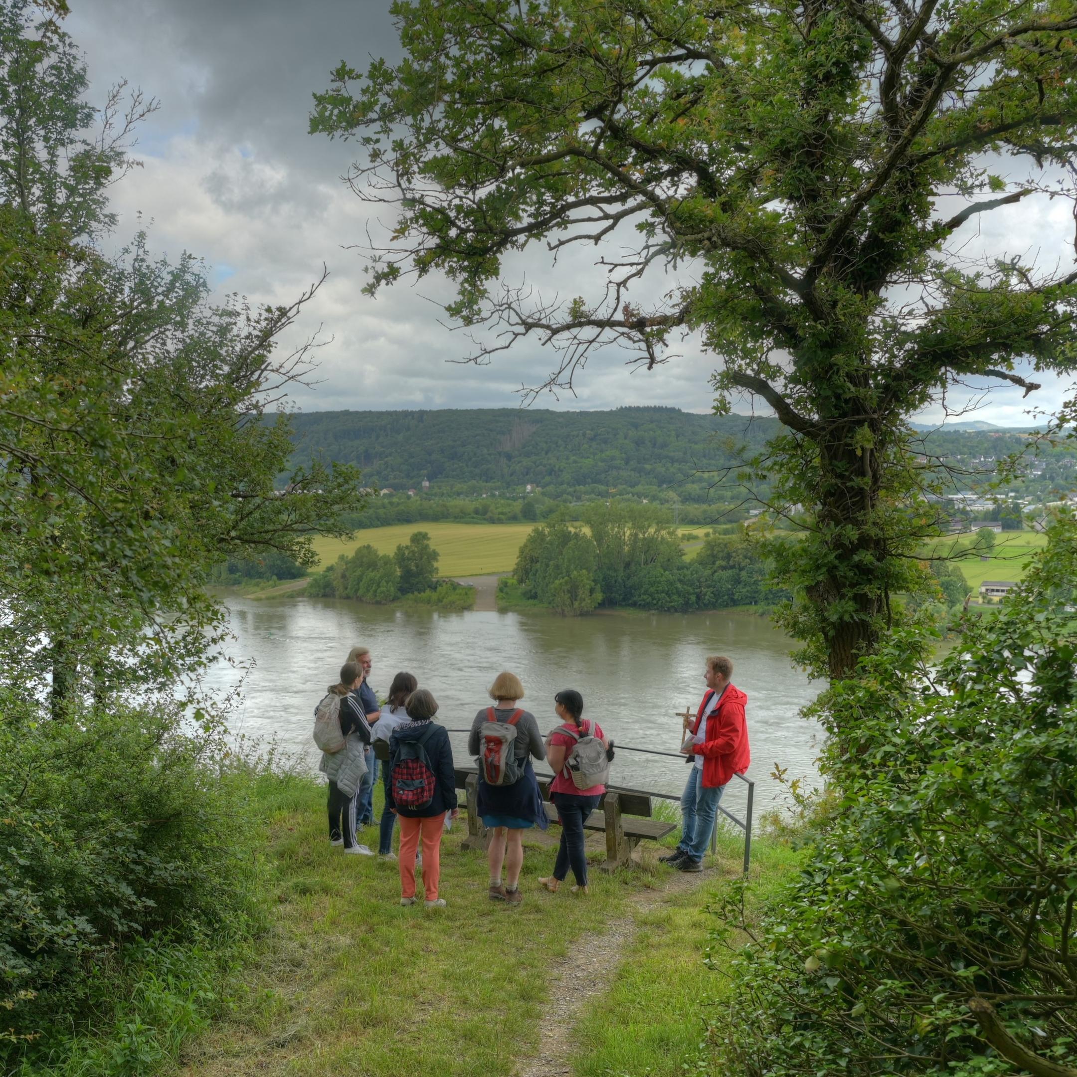 Blick auf den Rhein