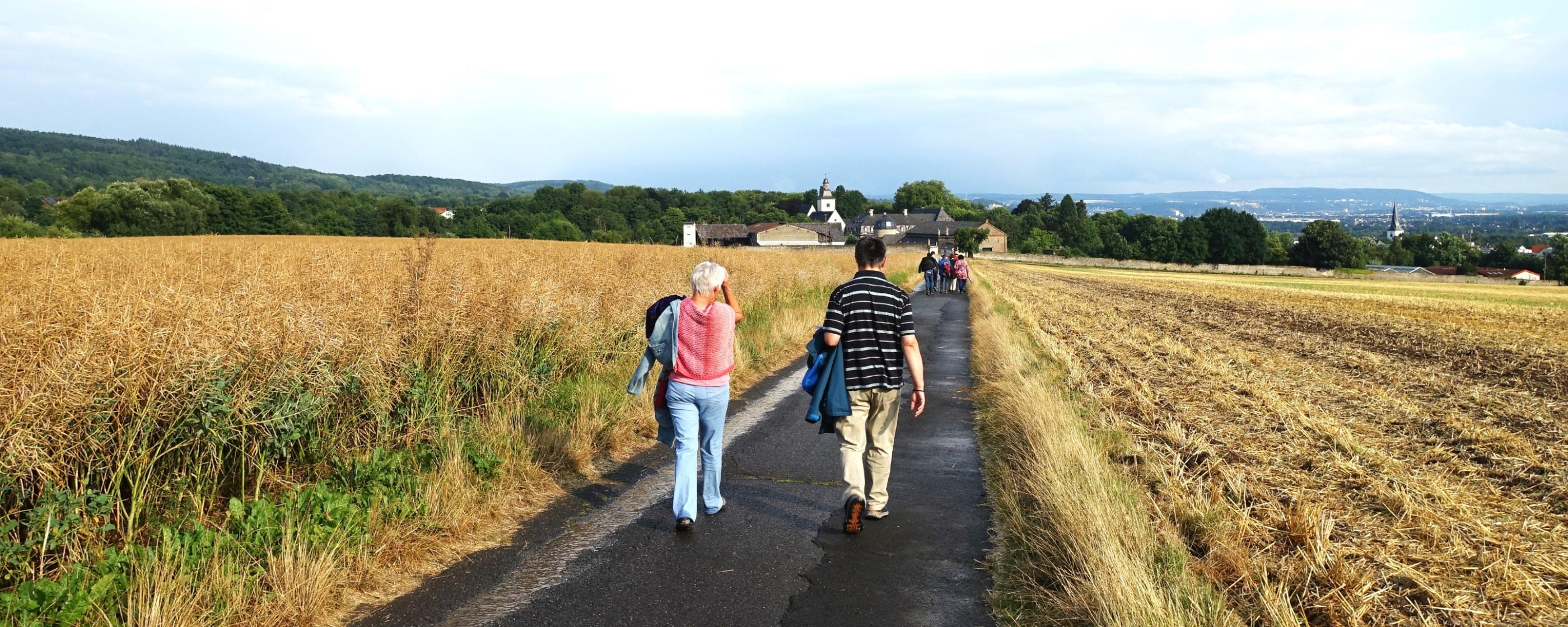 Martinsweg nach Rommersdorf