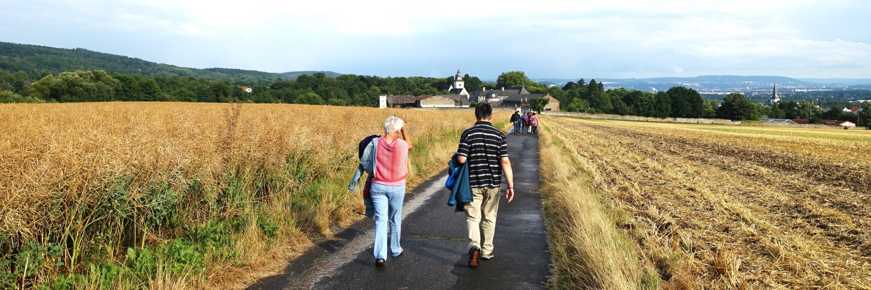 Martinsweg nach Rommersdorf