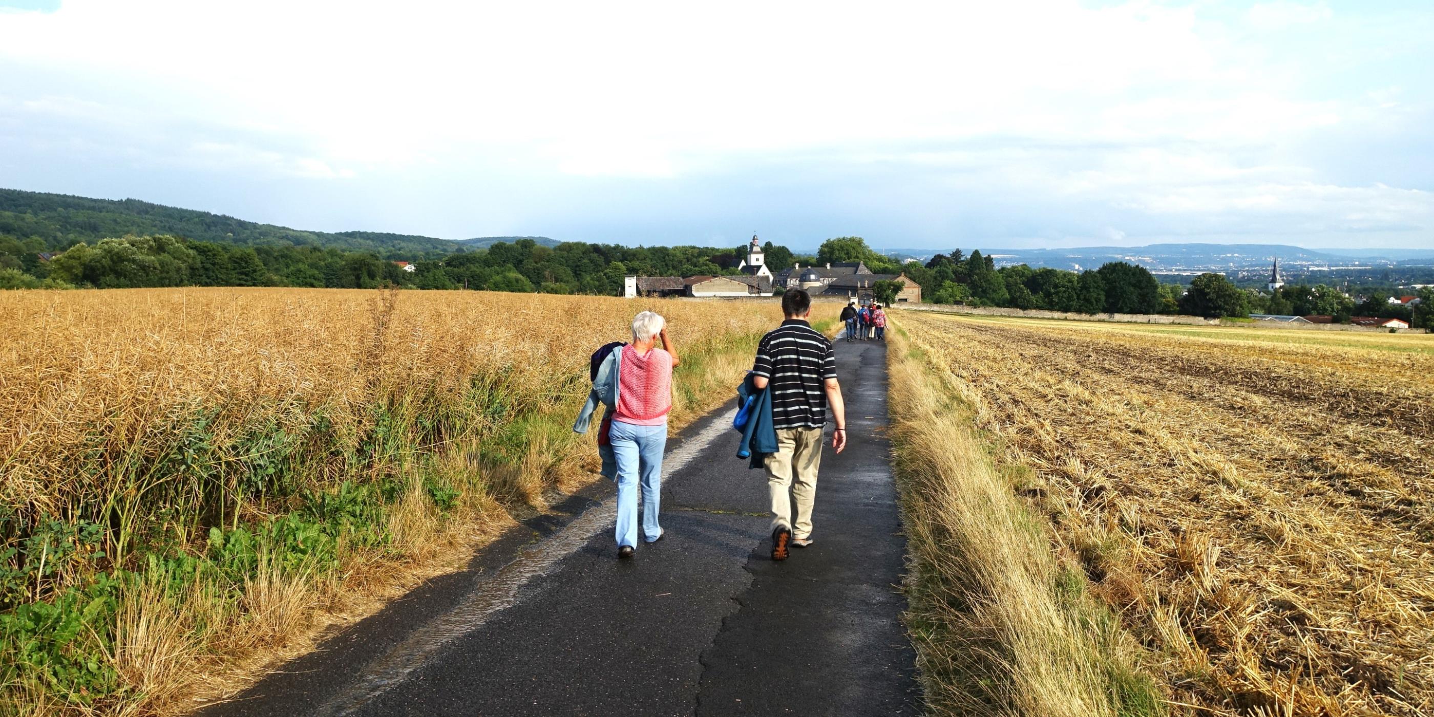 Martinsweg nach Rommersdorf