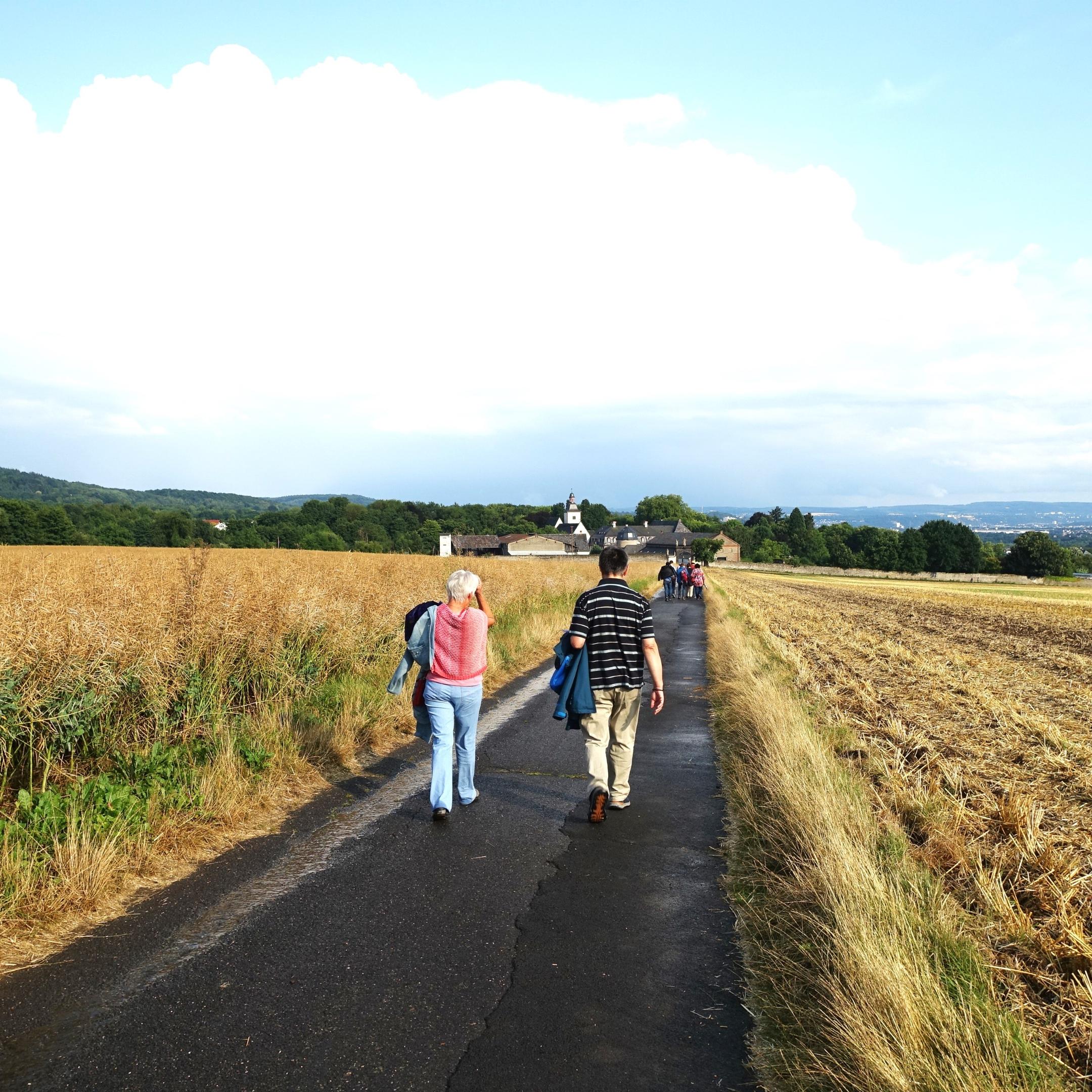 Martinsweg nach Rommersdorf