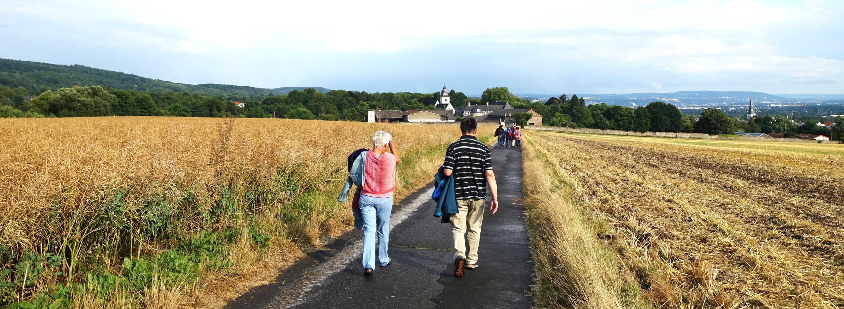 Martinsweg nach Rommersdorf