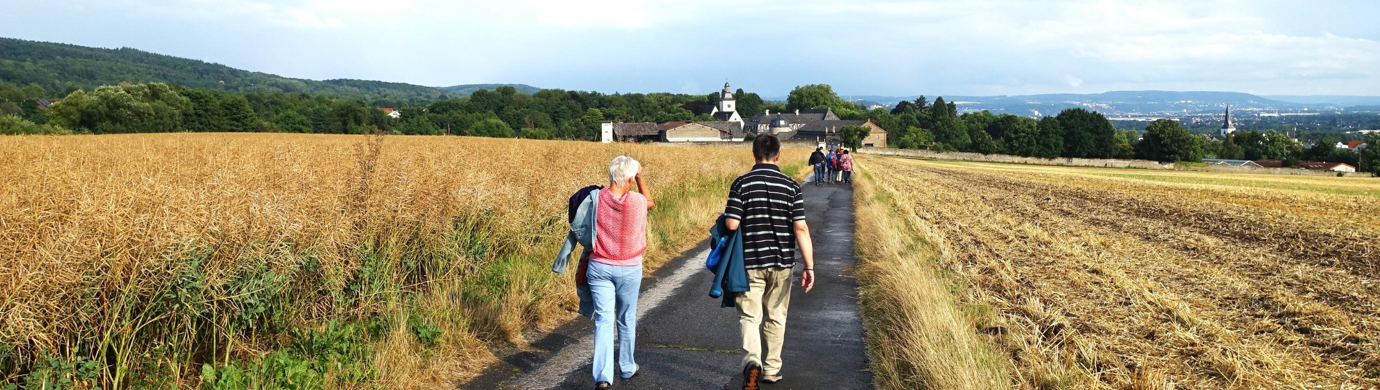 Martinsweg nach Rommersdorf