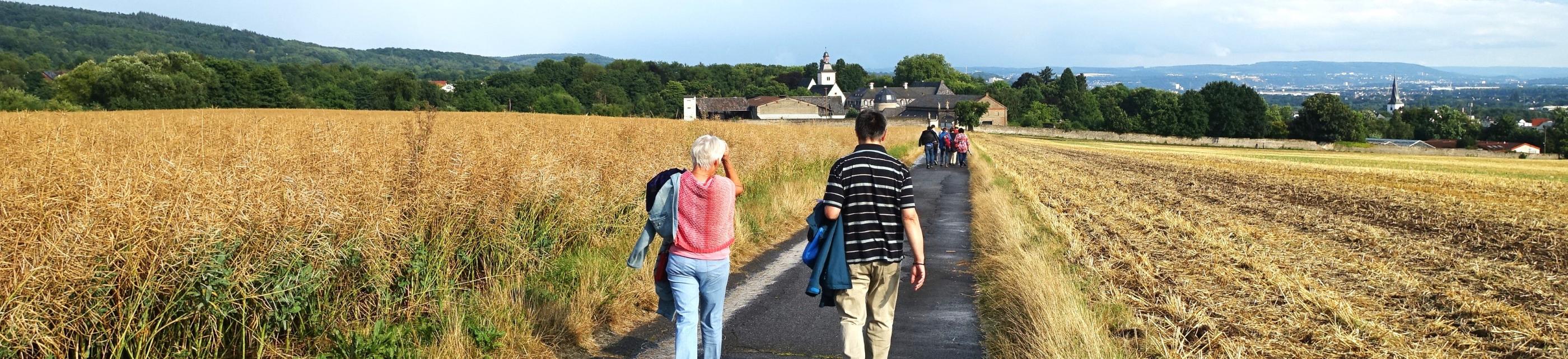 Martinsweg nach Rommersdorf