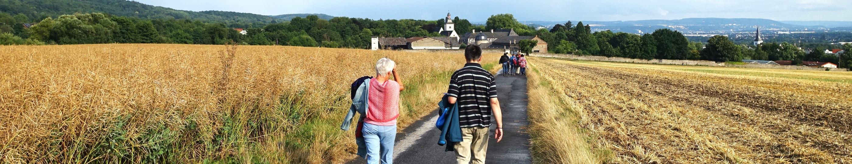 Martinsweg nach Rommersdorf